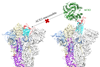 Low-Res_020823CoronavirusSmallMolecules.png