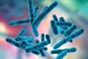 bacteria-image