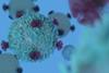 T,Cell,Lymphocyte,With,Receptors,For,Cancer,Cell,Immunotherapy,Research