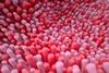 Intestines,Cells,3d
