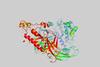 3d,Model,Of,A,Protein,Molecule.,Endothelial,Tyrosine,Kinase,Receptor,