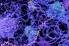 enzymes-1