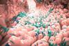 gut-microbiomes