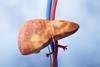 Liver,Organ,With,Fatty,Liver,State,,3d,Rendering.,3d,Illustration.