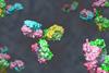 Bispecific,Antibody,Colored,Heavy,Chain,In,Green,And,Pink,,Light