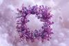 shutterstock_2529993611 (2)