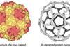 Low-Res_figure1