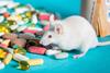 A,Live,White,Laboratory,Experimental,Mouse,Sits,On,Pills.concept,Medical