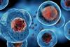 Embryonic,Stem,Cells,,,Cellular,Therapy,,,3d,Rendering