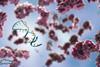 Aptamer_Group_feature_image (1)