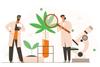 Male,And,Female,Scientists,In,Uniform,Are,Analyzing,Cbd,Hemp