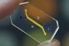 Organ-on-a-Chip