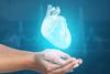 Female,Hands,With,Heart,On,Blue,Background.,Cardiology,Concept.