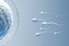Sperm,Directed,Towards,The,Egg,Bubble,,Natural,Fertilization.3d,Illustration