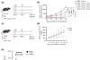Low-Res_Figure3