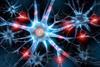 Active,Nerve,Cell,-,3d,Illustration