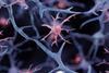 shutterstock_2197736775