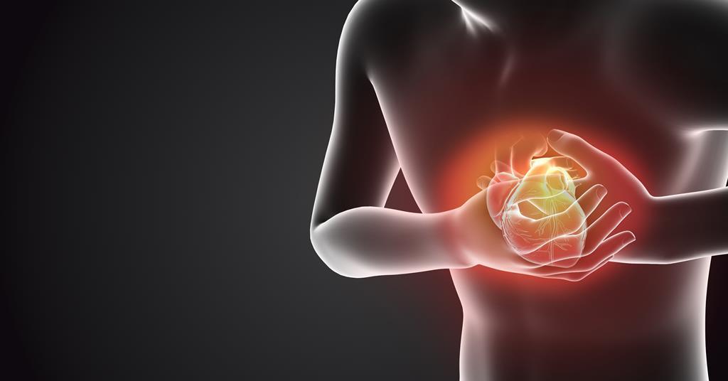 Kyushu and Tokushima University researchers target BCAT1 enzyme to limit heart scarring