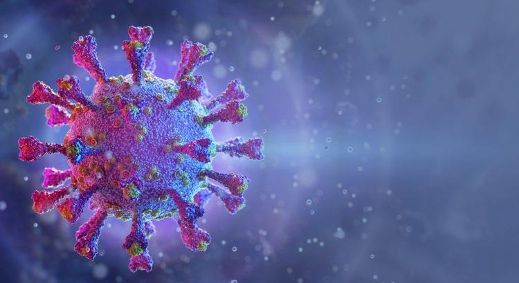 Promising human antibodies fighting SARS-CoV-2 | Article | Drug Target ...