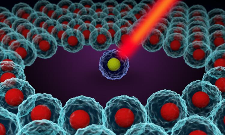Tech Term Cells ebook: Breaking Barriers in Cell Engineering | Article | Drug Target Review