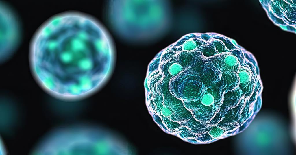 Scientists reveal what 2D cancer drug screening could be missing | Drug ...