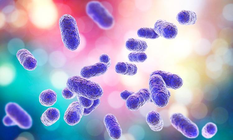 The inner workings of environmental bacterium | Article | Drug Target ...