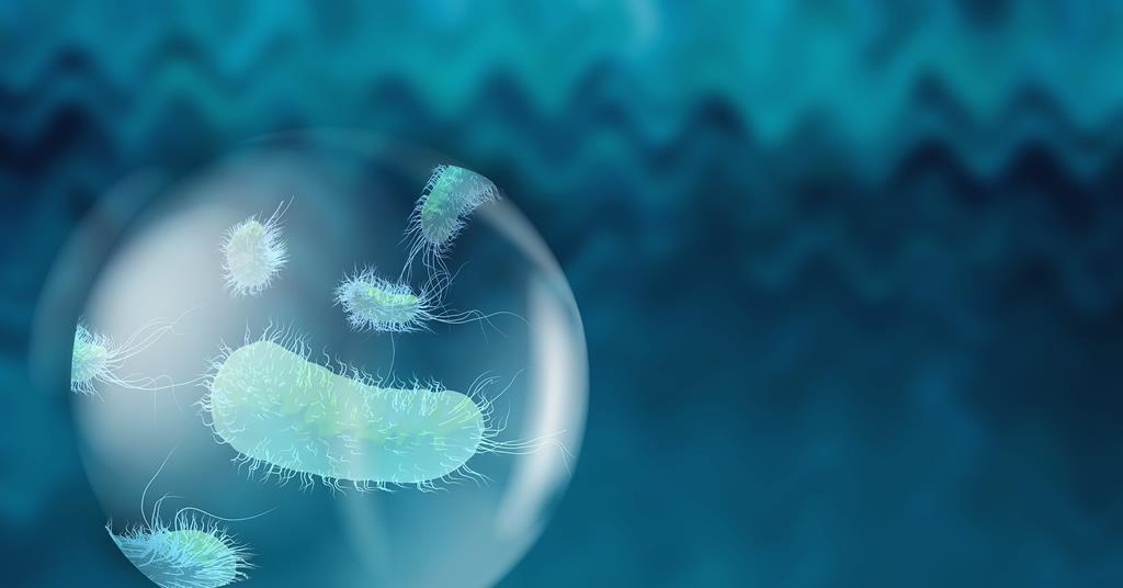 Streptomyces Megacluster Targets Biotin to Combat Drug-Resistant Infections