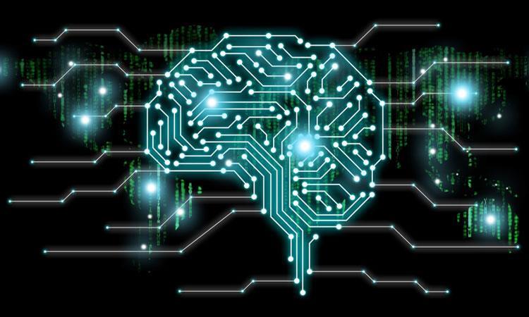 Capturing the computational abilities of real neurons | News | Drug ...