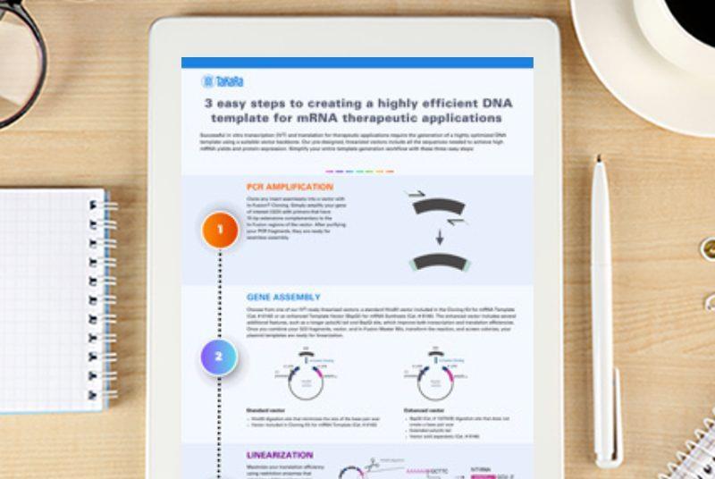 Guide: Create DNA Template for In Vitro mRNA Synthesis | Whitepaper ...