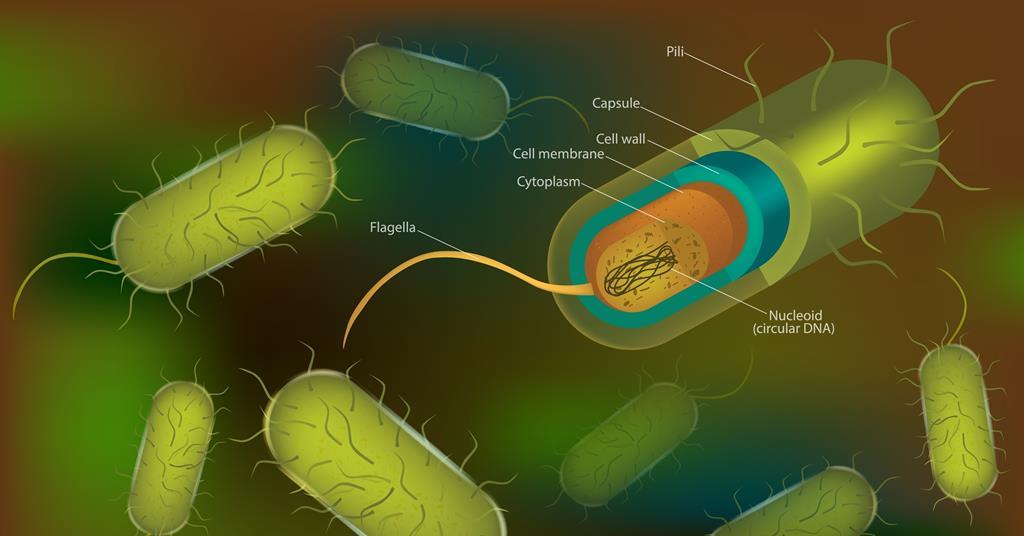 Latest Breakthroughs in Bacterial Antibiotic Resistance and Tolerance - News Directory 3
