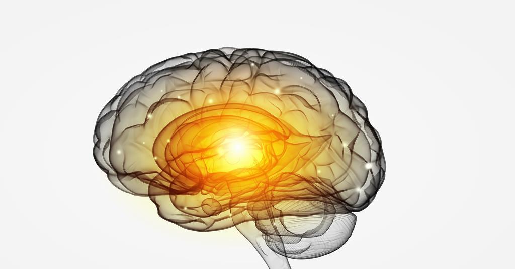 AI-designed viral vectors achieve 50-fold brain enrichment over
