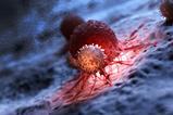 3d,Rendered,Medically,Accurate,Illustration,Of,White,Blood,Cells,Attacking