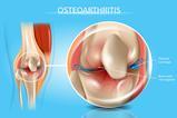 shutterstock_1149968462