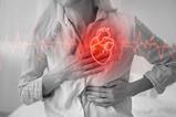 shutterstock_2693622511