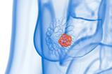 shutterstock_2221003615