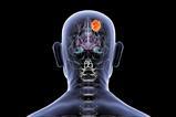 shutterstock_2678738361
