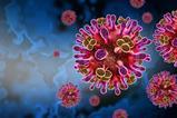 shutterstock_2659765945