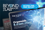 Organoids_300x250