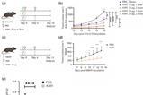Low-Res_Figure3