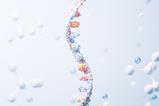 shutterstock_2432150677