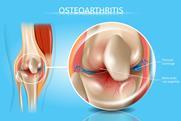 shutterstock_1149968462