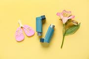 shutterstock_2659297309