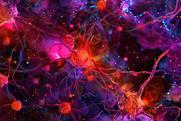 AdobeStock_832550589