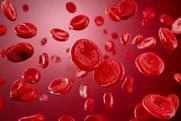 shutterstock_2546660915