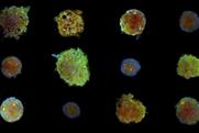 cell painting_uppsala_university_3D_cancer_cell_clusters