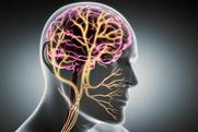 shutterstock_2626919753