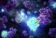 HiBiT_Protein_Tagging