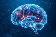 shutterstock_2751945077