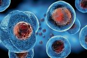 Embryonic,Stem,Cells,,,Cellular,Therapy,,,3d,Rendering