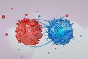 shutterstock_2750367527